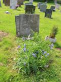 image of grave number 391652